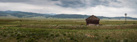 Homestead