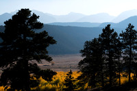 Aspen Meadow