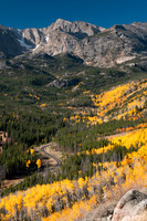 Fall Road