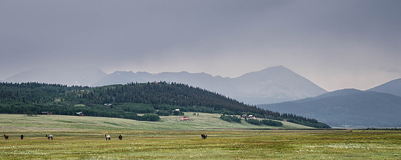 DSC_6524