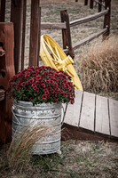 DSC_0393-Edit