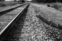 _DSC0891-Edit